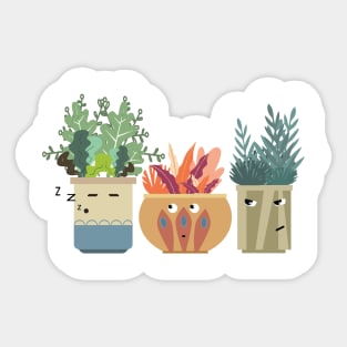 Pot Plants Sticker